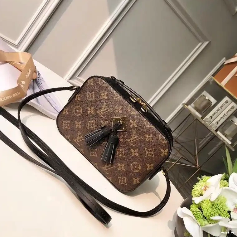 SAINTONGE VUITTON LOUIS 0423
